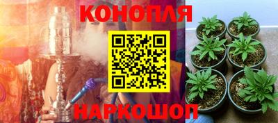 дурь Будённовск