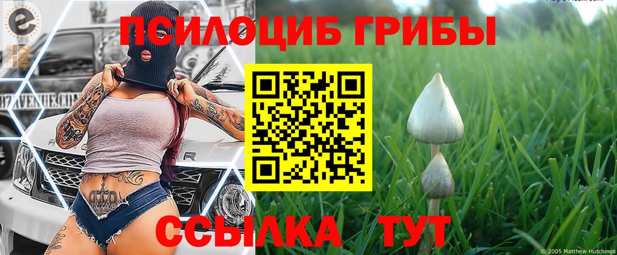 сколько стоит  Галлюциногенные грибы Psilocybe  Вход с VPN  Галлюциногенные грибы Cubensis  Севастополь 