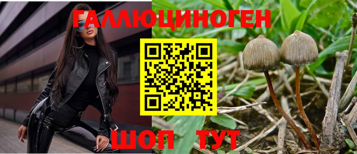 Галлюциногенные грибы мухоморы Севастополь